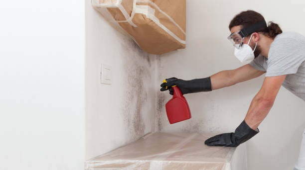 Professional Crawl Space Mold Remediation technician working in Gibbstown, NJ